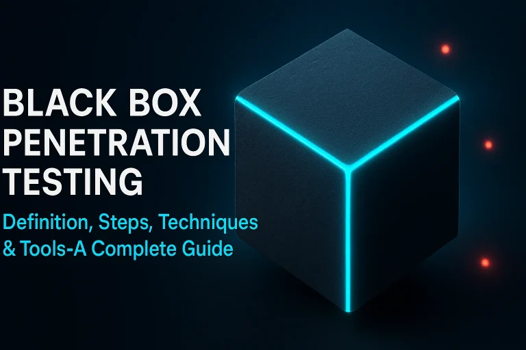 Black Box Penetration Testing