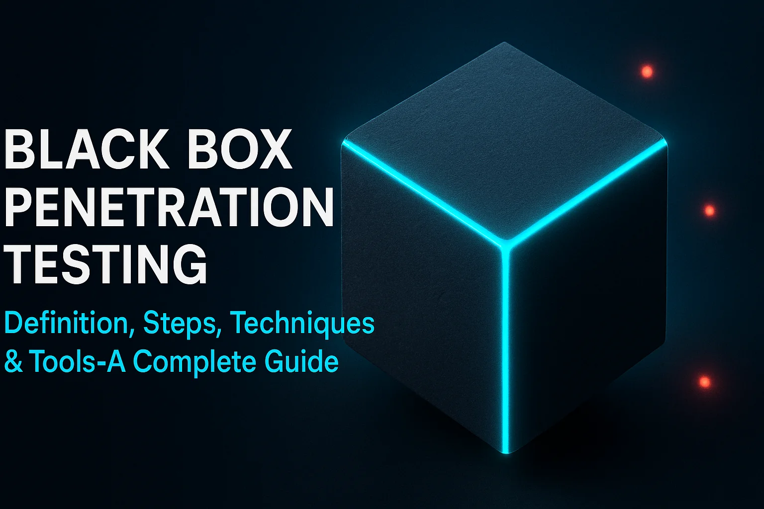 Black Box Penetration Testing
